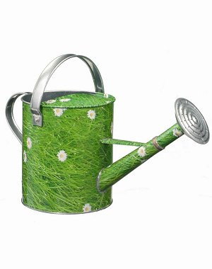 L'arrosoir "herbe" du BHV
