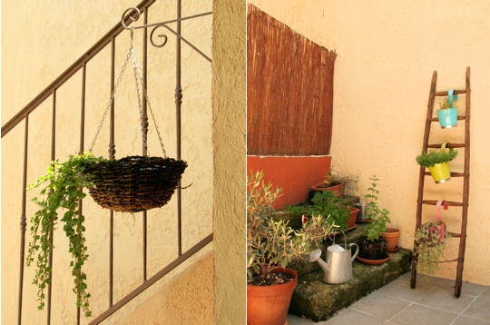 Le coin du potager