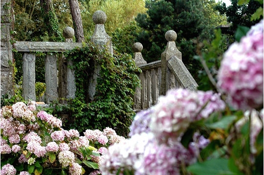 Terrasse aux hortensias