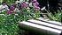 Le banc