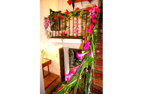 Les fleurs de la rampe